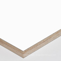 18mm  white plywood sheet/commercial melamine marine poplar wooden laminated plywood